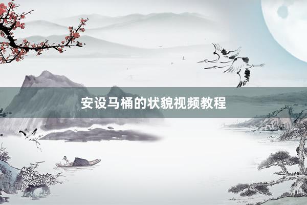 安设马桶的状貌视频教程