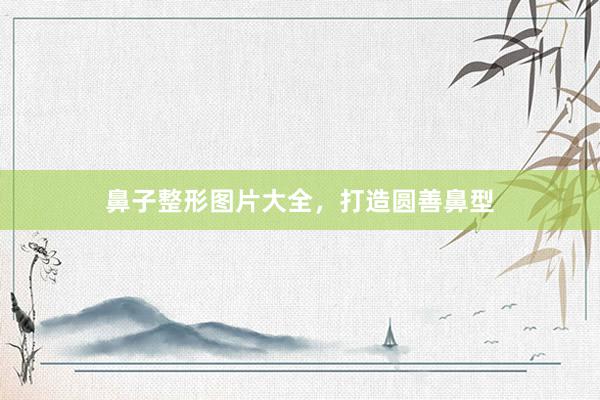 鼻子整形图片大全，打造圆善鼻型